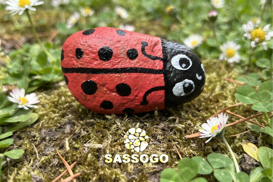 Un sorriso tra i pensieri: il viaggio del sasso coccinella