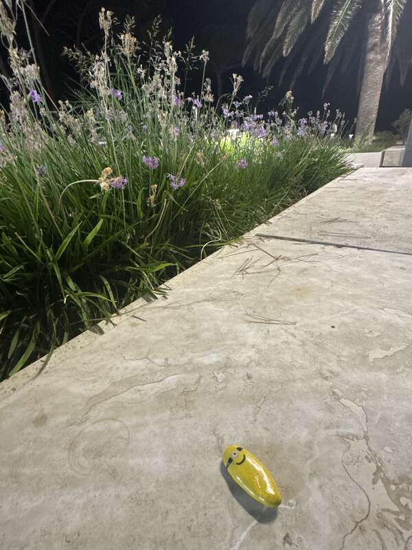Foto della tappa di Minion