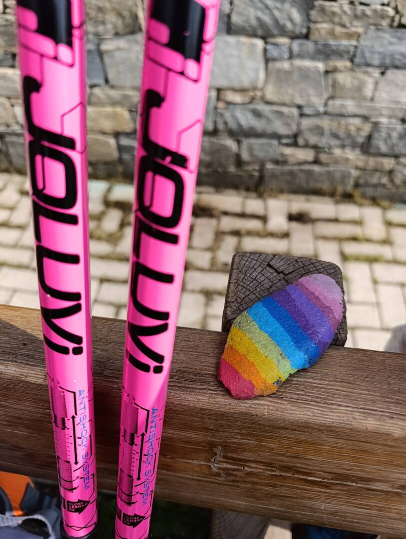 Foto della tappa di Viva i colori 💖