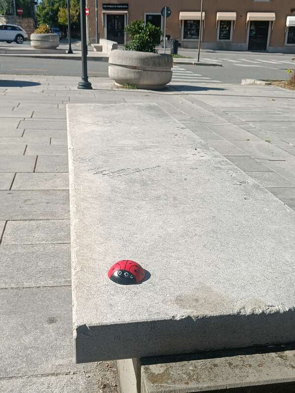 Foto della tappa di Coccinella 8