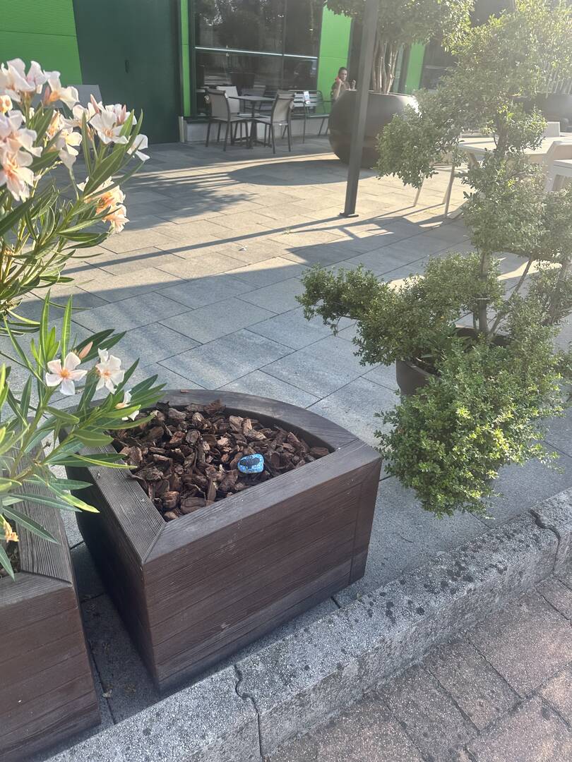 Foto della tappa