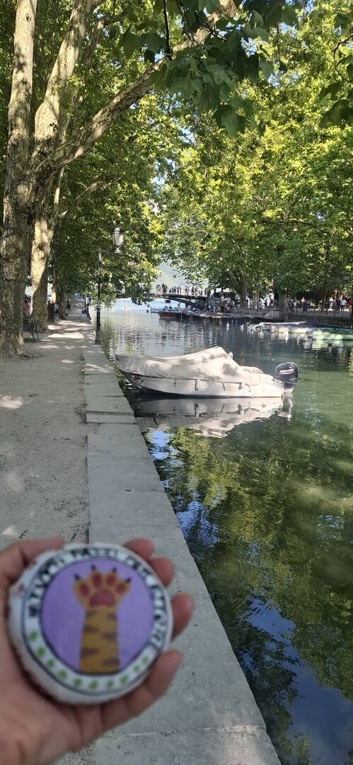 Foto della tappa di Tutti pazzi per ettore