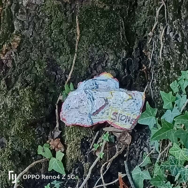 Foto della tappa di Stone