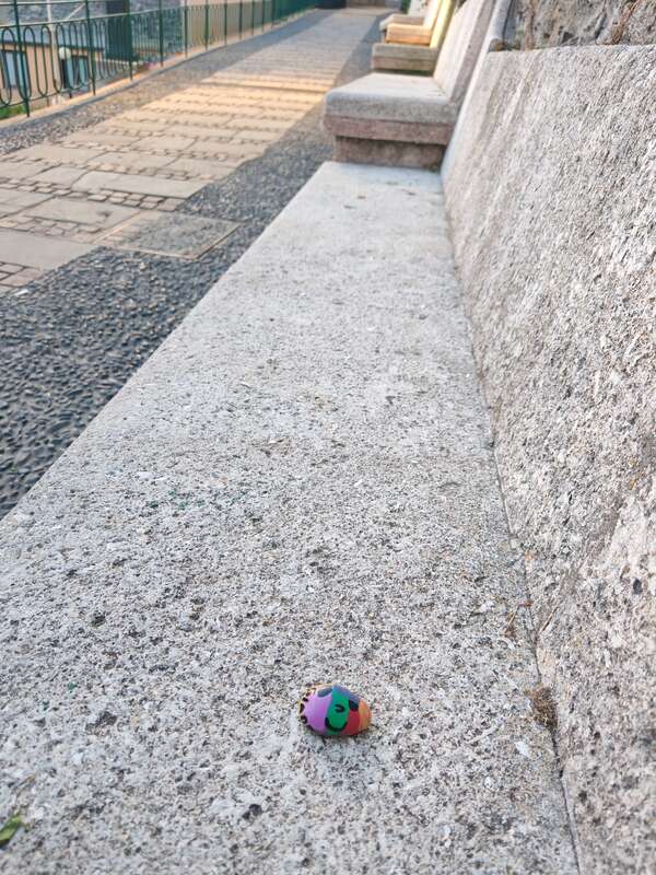 Foto della tappa di Faccina simpatica