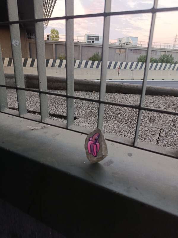 Foto della tappa di La banana rosa