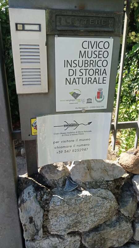 Foto della tappa di Dente di Megalodonte