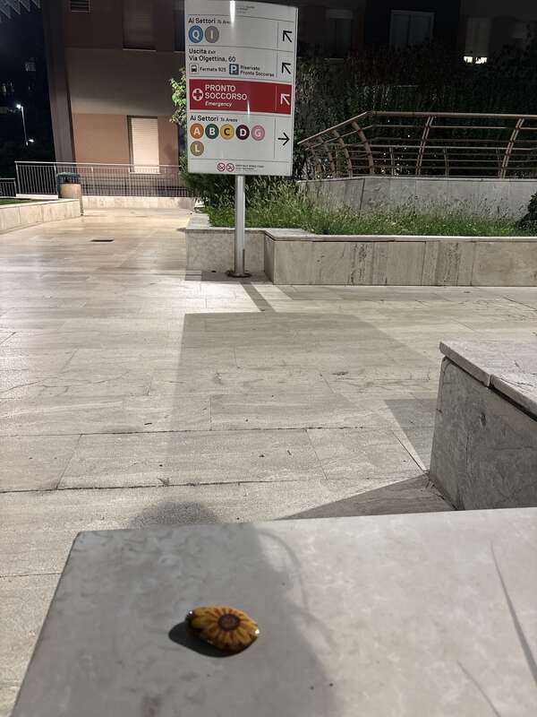 Foto della tappa di Girasole