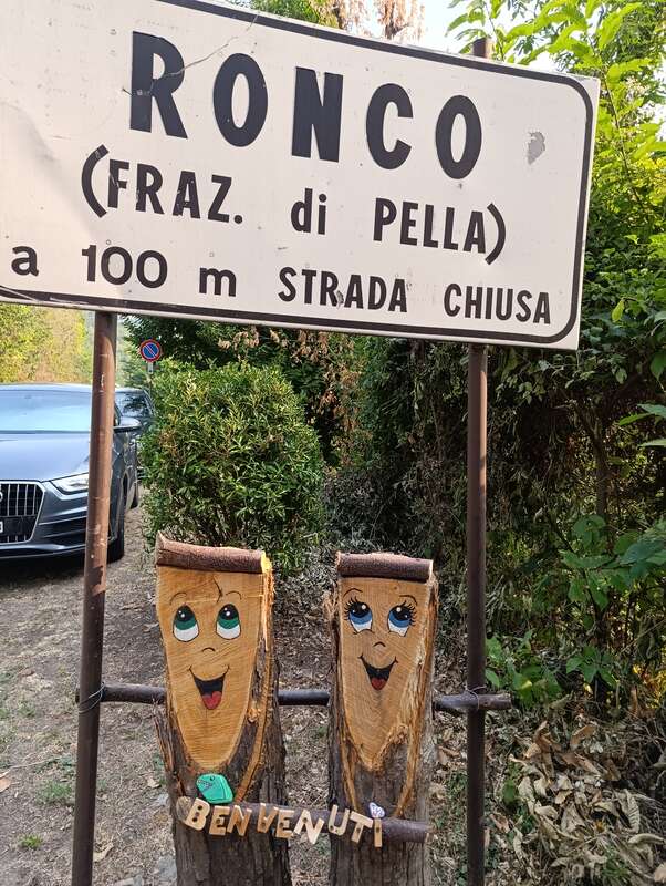 Foto della tappa di Dinosauro 🦖
