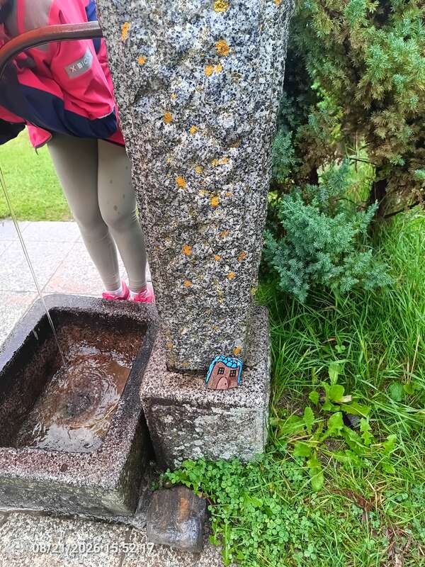 Foto della tappa di La casa nel tronco