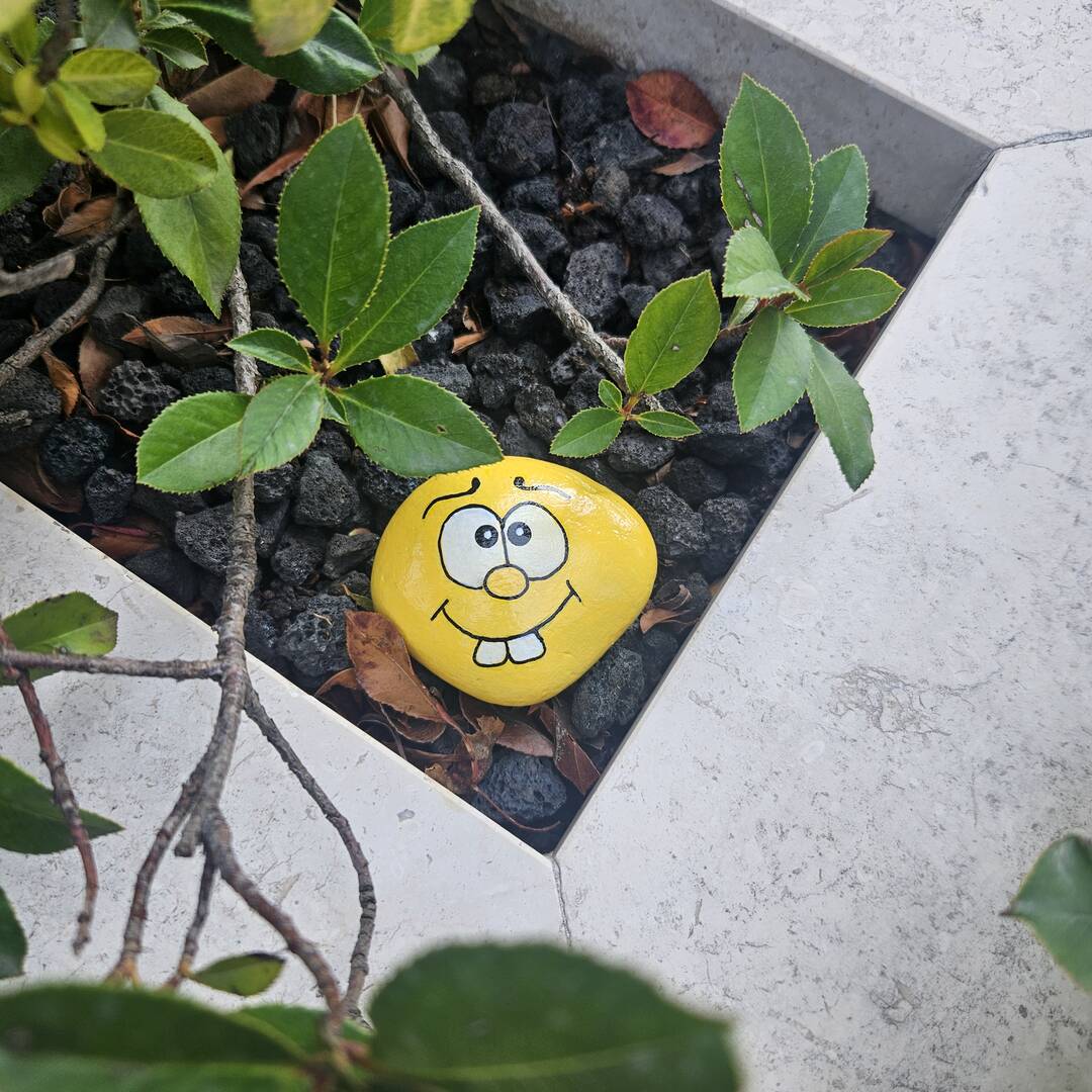 Foto della tappa di Yellino 💛