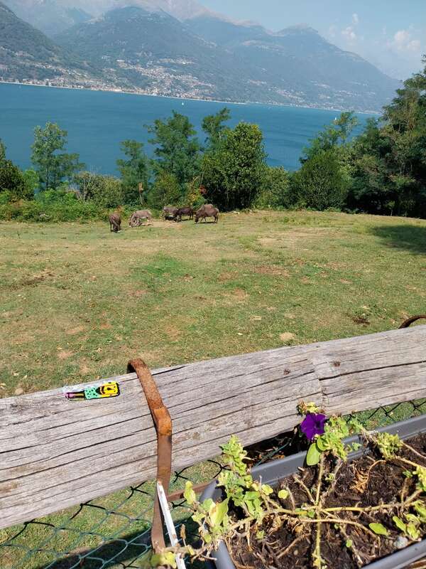 Foto della tappa di Solo