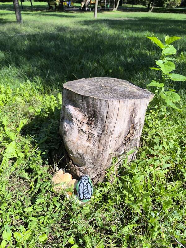Foto della tappa di Jizo