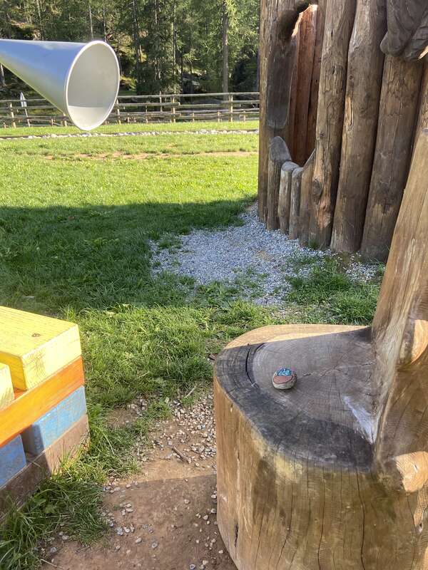 Foto della tappa di Cactus