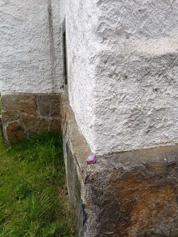 Foto della tappa di Fiorellino 🌷