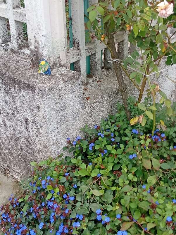 Foto della tappa di Semplice