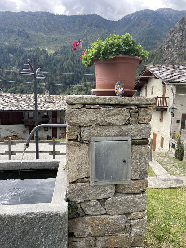 Foto della tappa di Piccola volpe