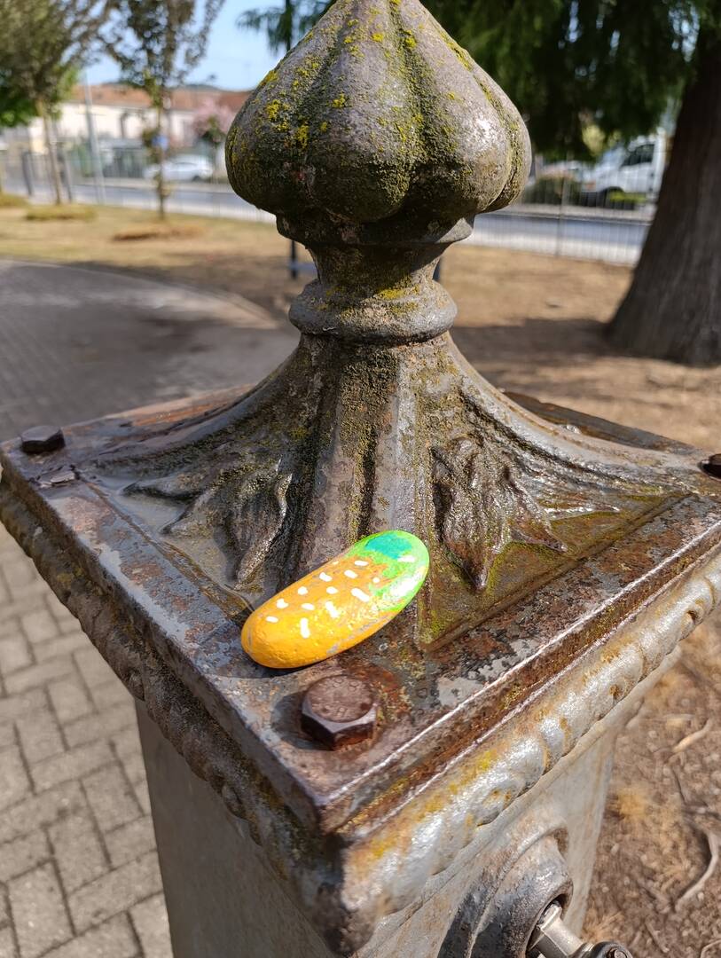 Foto della tappa di 🥕 carotina