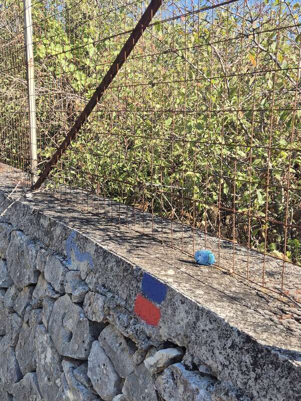 Foto della tappa di Blu