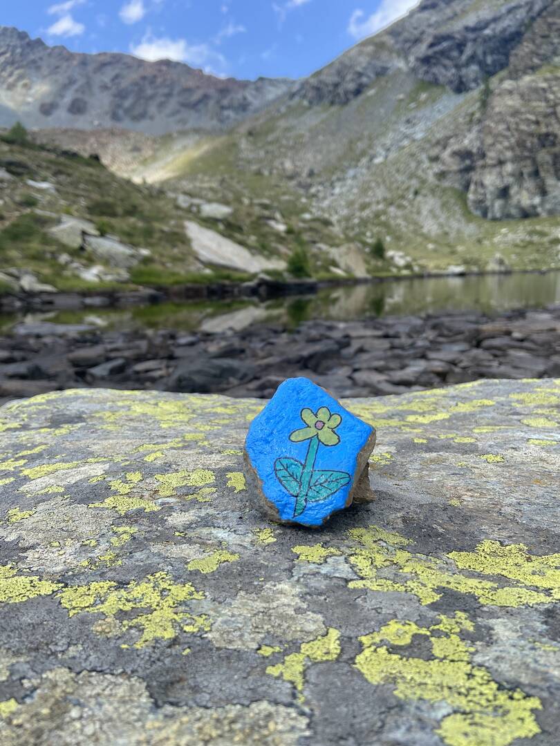 Foto della tappa di Fiorellino