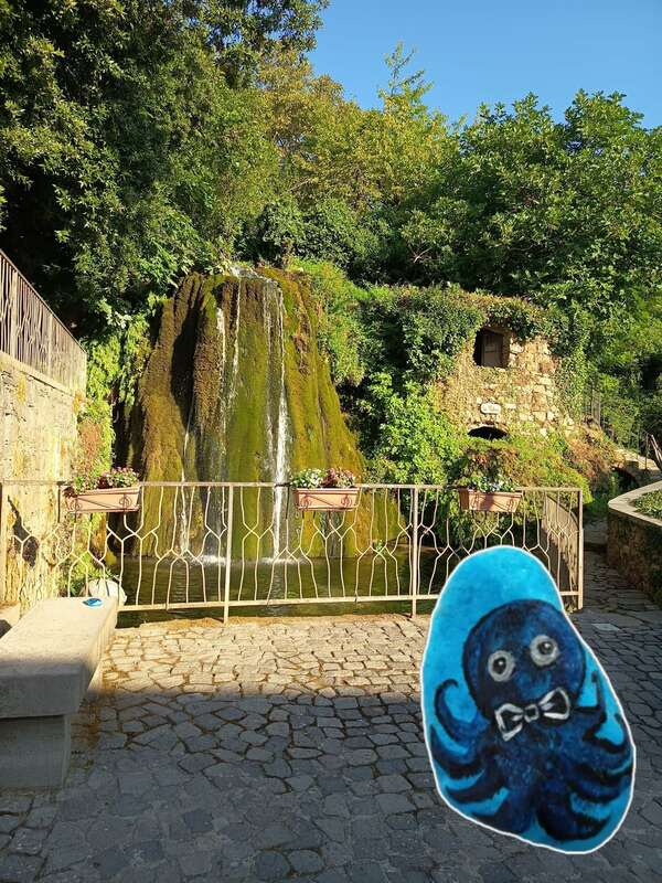 Foto della tappa di Eliseo il polpo blu