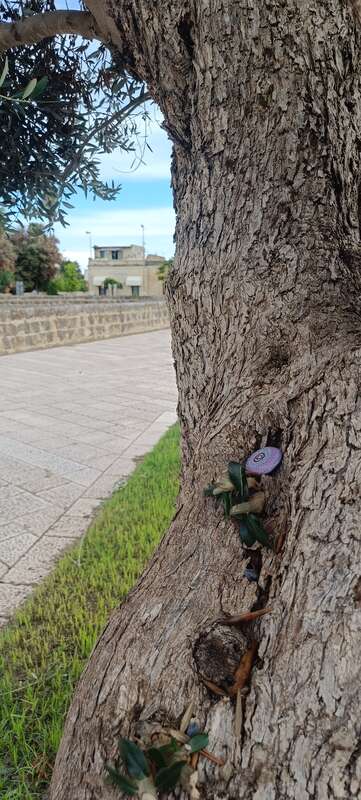 Foto della tappa di Anima