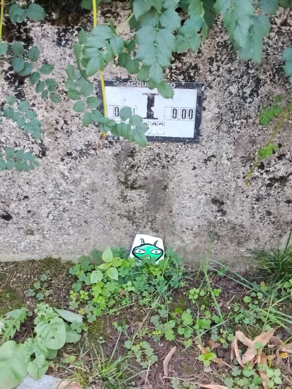 Foto della tappa di E.T.