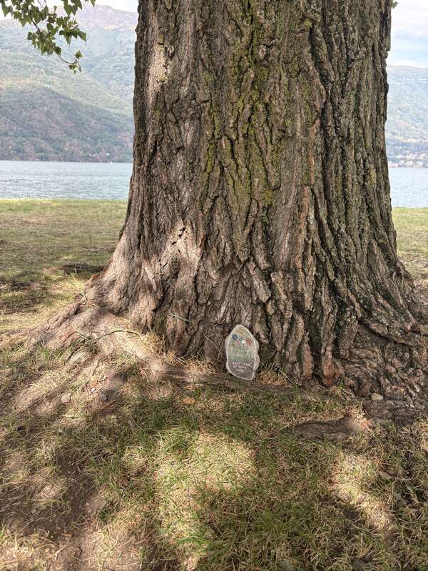 Foto della tappa di AbbiCuraDiTutti
