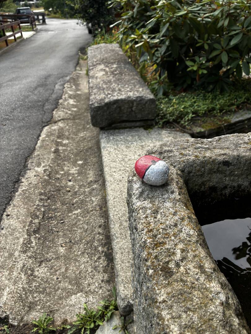 Foto della tappa di Pokeball