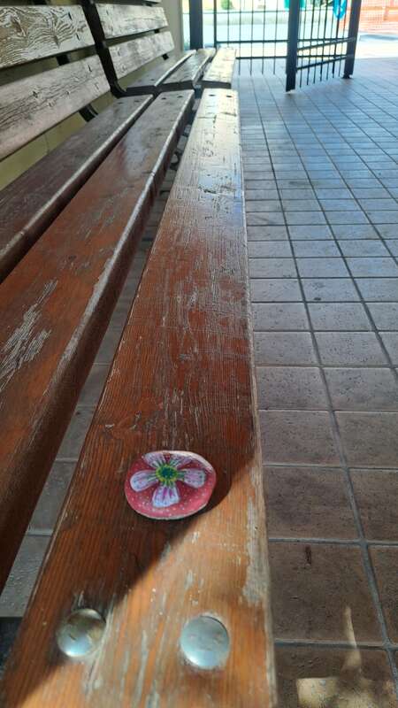 Foto della tappa di Fiore rosa