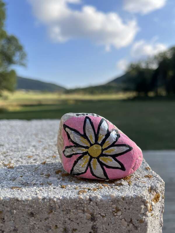 Foto della tappa di Stella di montagna