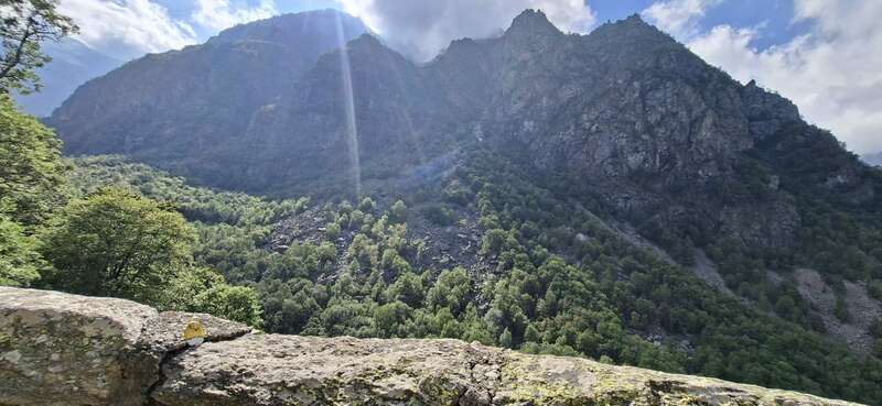Foto della tappa di Pulcino
