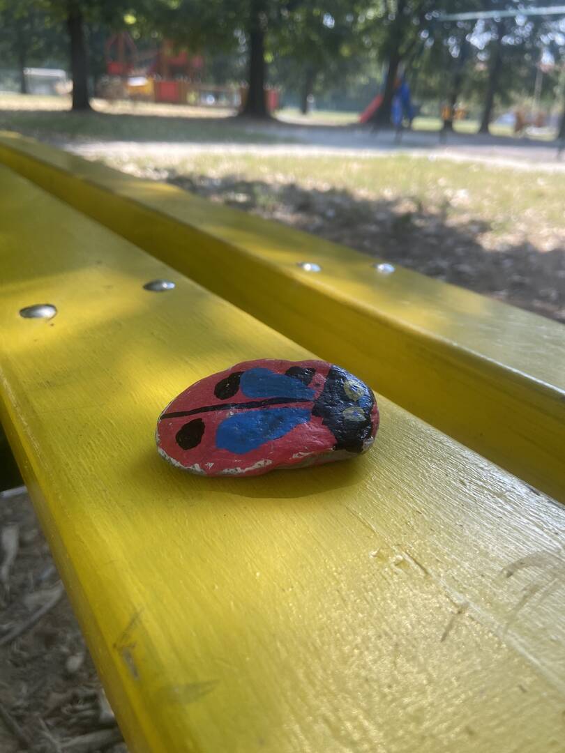 Foto della tappa