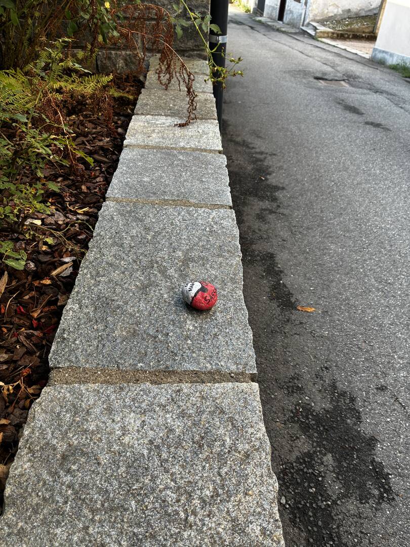 Foto della tappa di Pokeball