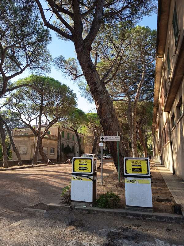Foto della tappa di Il cervo