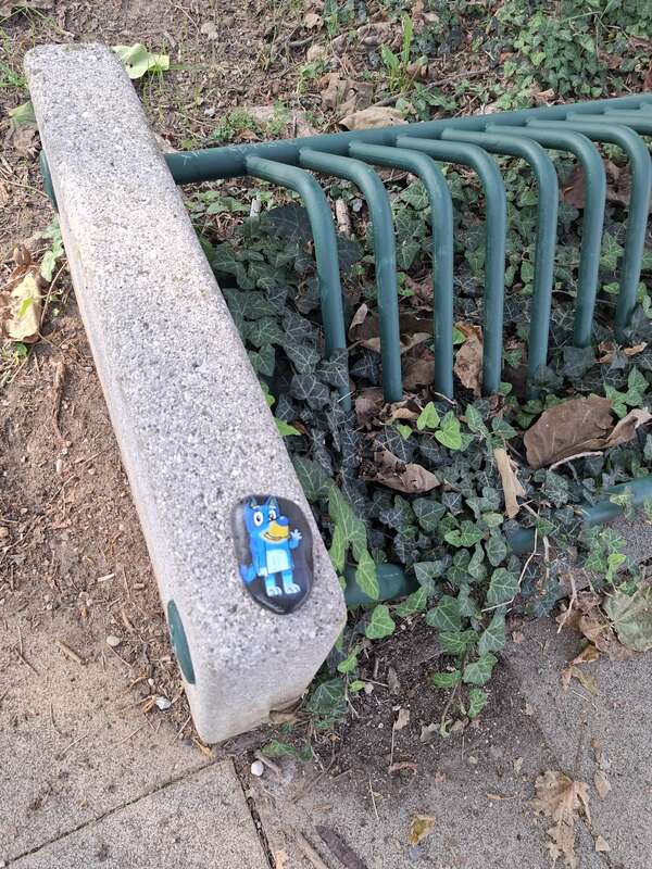 Foto della tappa di Bluey