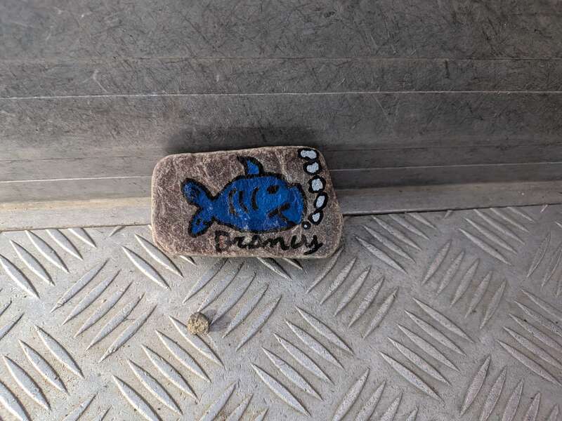 Foto della tappa di Pesce blob