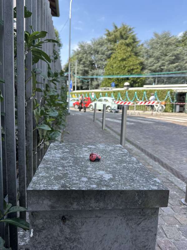 Foto della tappa di Coccinellina