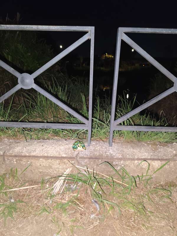 Foto della tappa di Tartaruga Uga