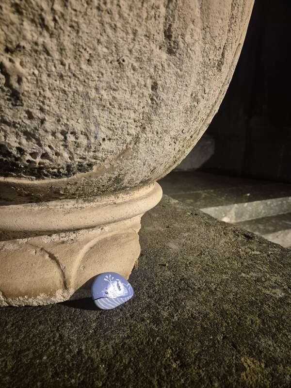 Foto della tappa di la balenottera arenata