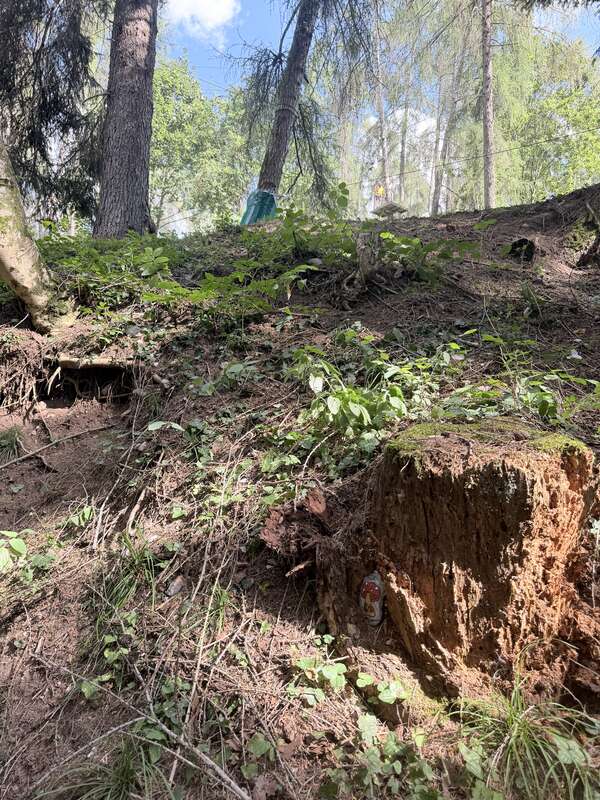 Foto della tappa di Nel bosco