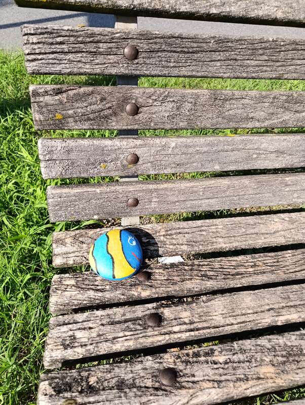 Foto della tappa di Pesce azzurro 🐠