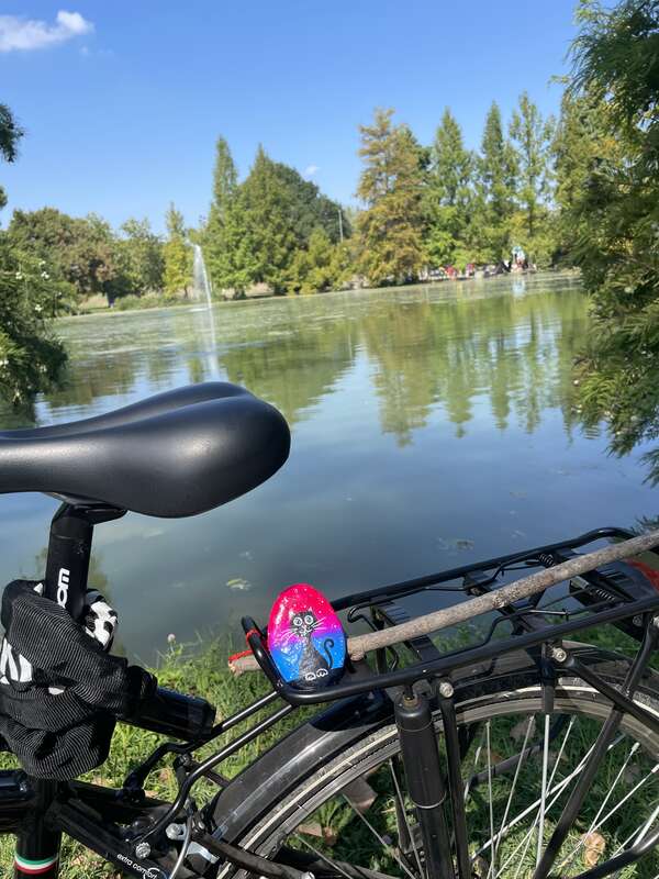 Foto della tappa di Nikita