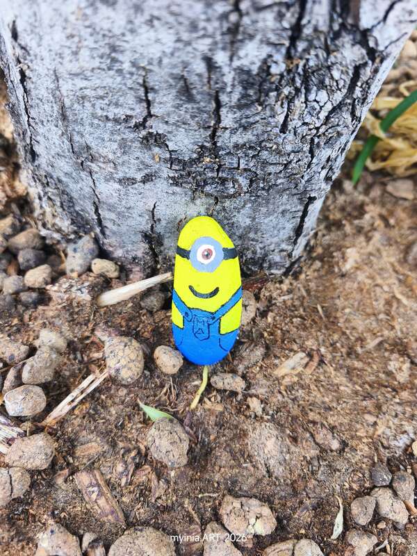 Foto della tappa di Minion 13