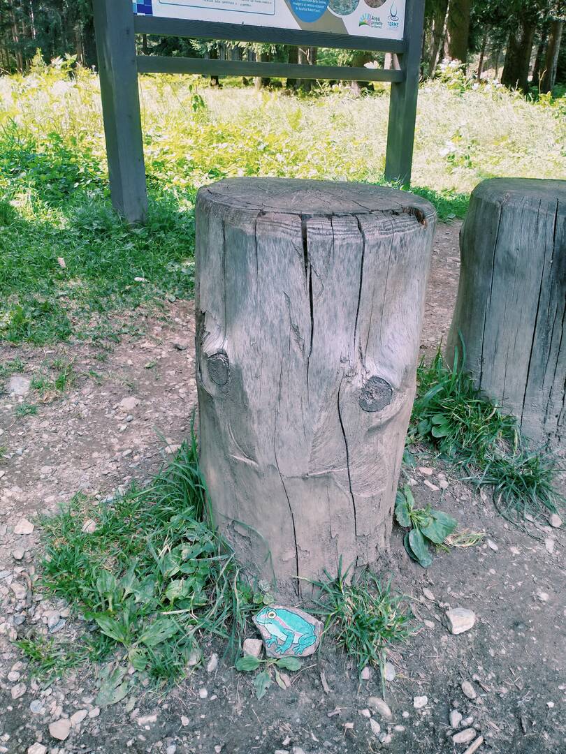 Foto della tappa di La ranocchia del bosco