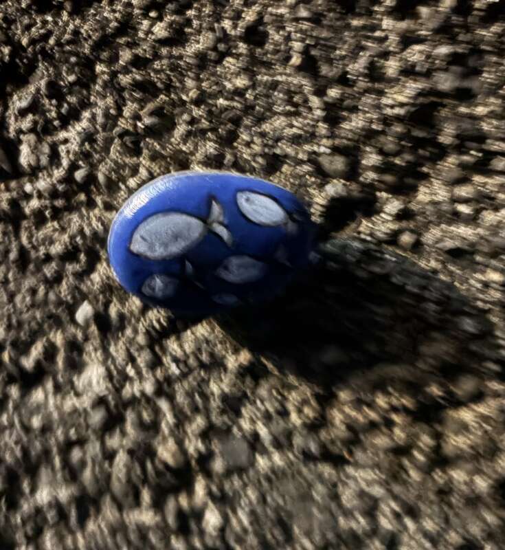 Foto della tappa di Pesci blu