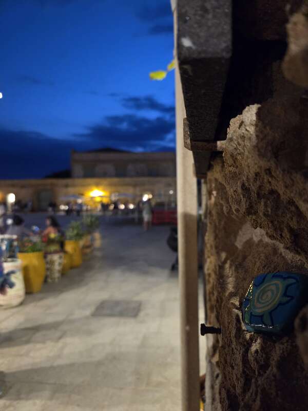 Foto della tappa di Giuly la tartaruga..