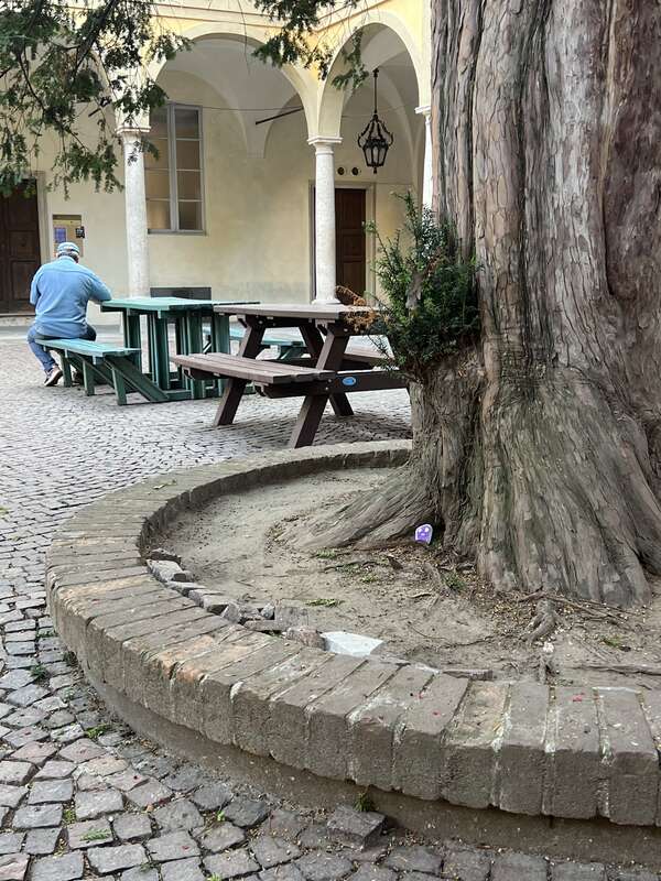 Foto della tappa di Ignazio