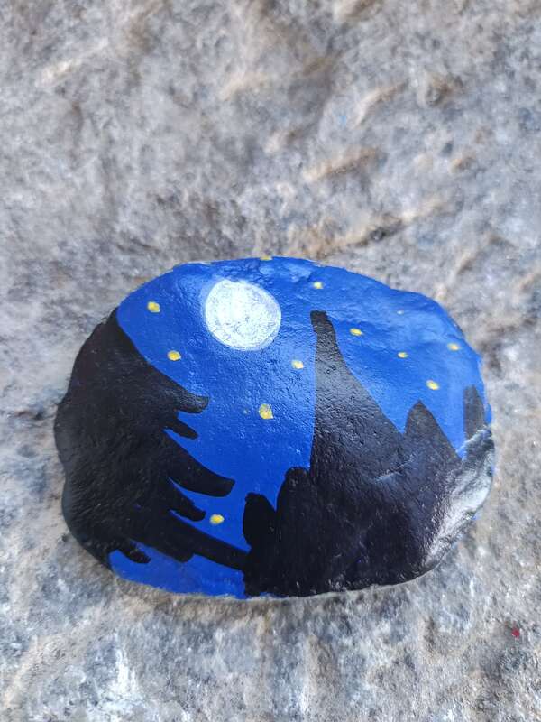 Notte nel Bosco