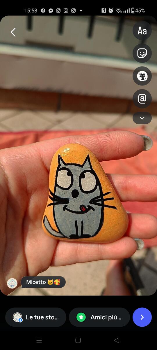 Micetto
