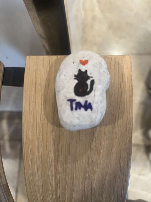 TINA